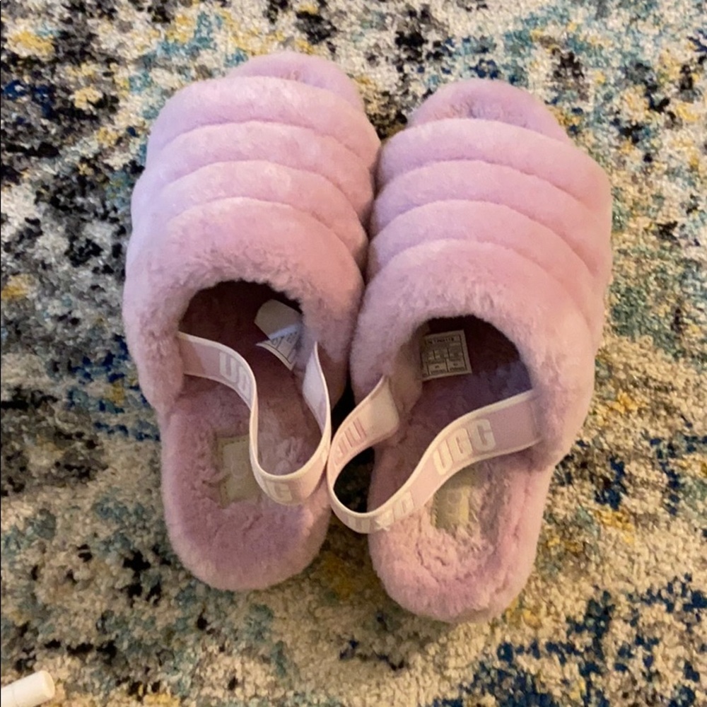 Purple Ugg Slipper!